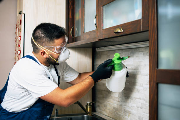 Pest Control Cost in Castro Valley, CA