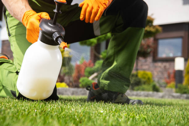 Reliable Castro Valley, CA Pest Control Solutions